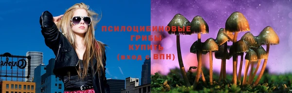 Альфа ПВП Осинники
