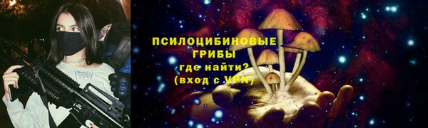 амф Абаза