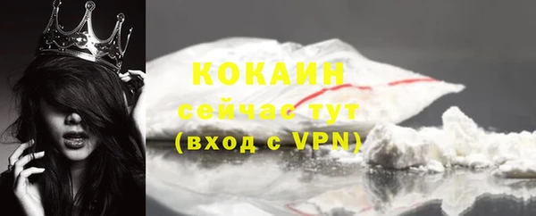 стафф Осташков