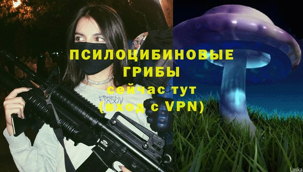 apvp Абдулино